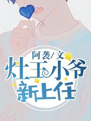竈王小爷新上任封面