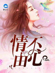 情不由心蓝小柒赫连曜封面