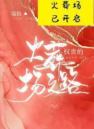 权贵的火葬场之路封面