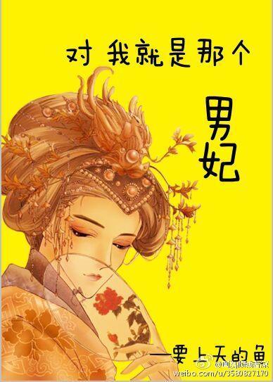 男妃封面