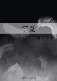 宁夏封面