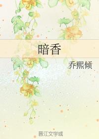 暗香封面