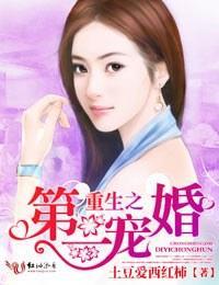 重生之第一宠婚封面