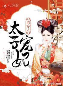 清穿之太子宠妃封面