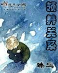 领养关系封面
