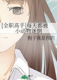 [全职高手]每天都被小动物迷倒封面