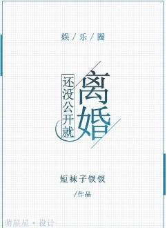 还没公开就离婚[娱乐圈]封面