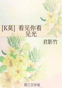 [K莫]看见你看见光封面