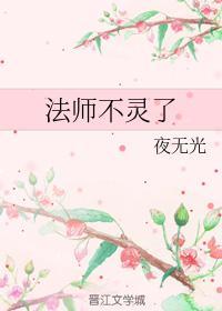 法师不灵了封面