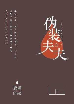 伪装夫夫封面