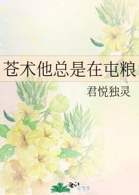 苍术他总是在屯粮封面