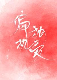 偏执独爱封面