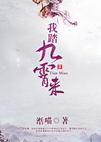 我踏九霄来封面