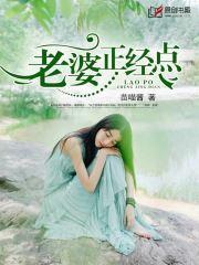 老婆，正经点！封面