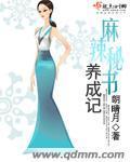 麻辣秘书养成记封面