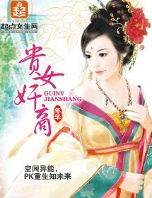 贵女奸商封面