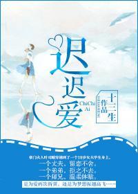 迟迟爱封面