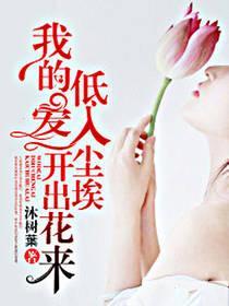 我的爱，低入尘埃开出花来封面
