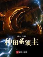 种田系领主封面