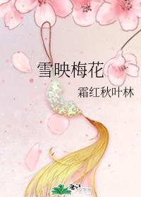 雪映梅花封面