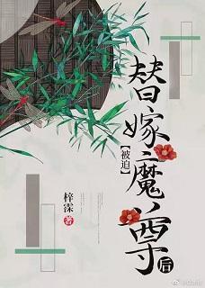 替嫁后，我与反派he了[穿书]封面