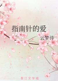 指南针的爱封面