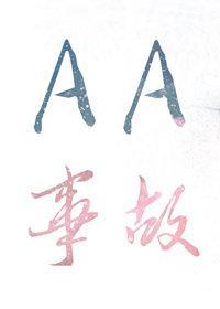 AA事故封面