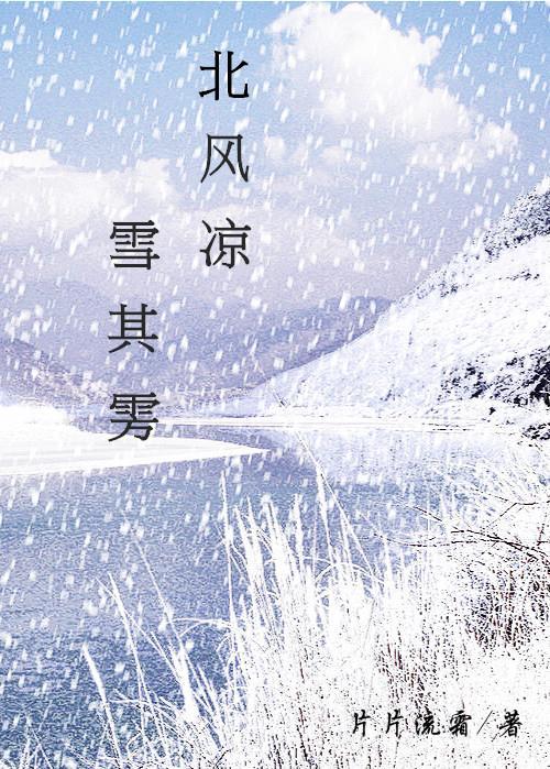 北风凉，雪其雱封面