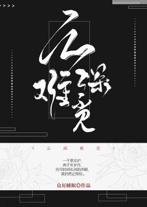 云深难觅封面