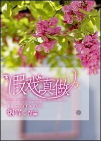 假戏真做封面