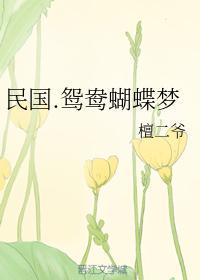 民国.鸳鸯蝴蝶梦封面