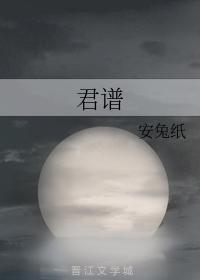 君谱封面