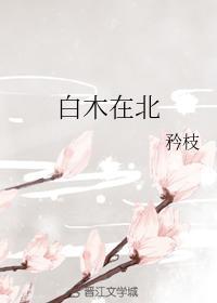 白木在北封面