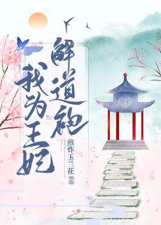 我为王妃解道袍封面