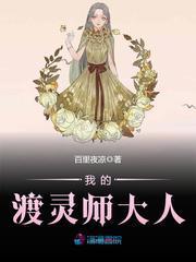 我的渡灵师大人封面