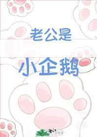 老公是小企鹅封面