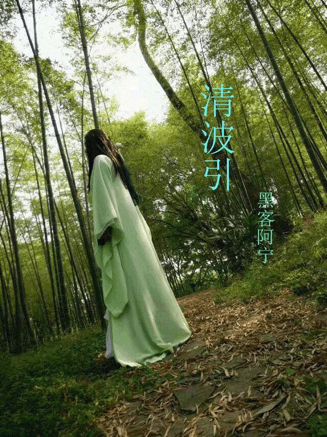 清波引封面