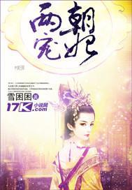两朝宠妃封面