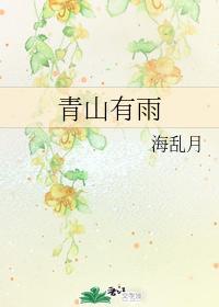 青山有雨封面