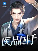 陆辰夏安雅封面
