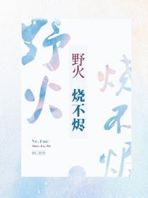 野火烧不烬封面