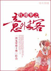 红楼梦之意外来客封面