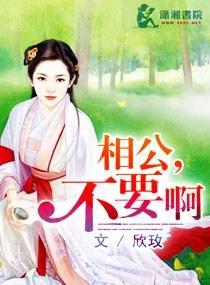 相公，不要啊封面