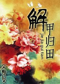 解甲归田封面