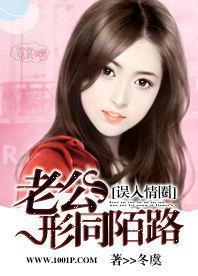 误入情圈：老公形同陌路封面