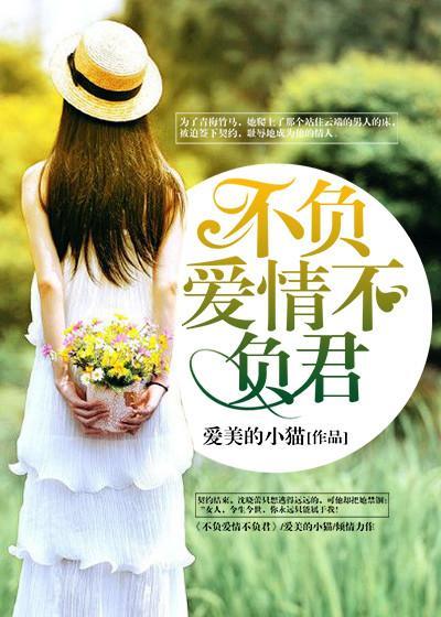 不负爱情不负君封面