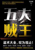 侠盗联盟：五大贼王封面