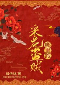 采花盗贼，哪里跑！封面