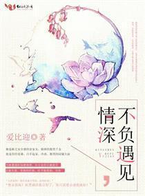 情深不负遇见封面