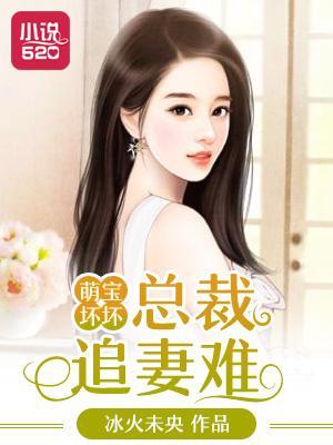 萌宝坏坏：总裁追妻难封面